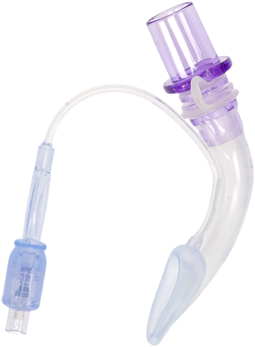 A medical laryngeal mask airway device with a purple connector and clear curved tube with an inflatable cuff.