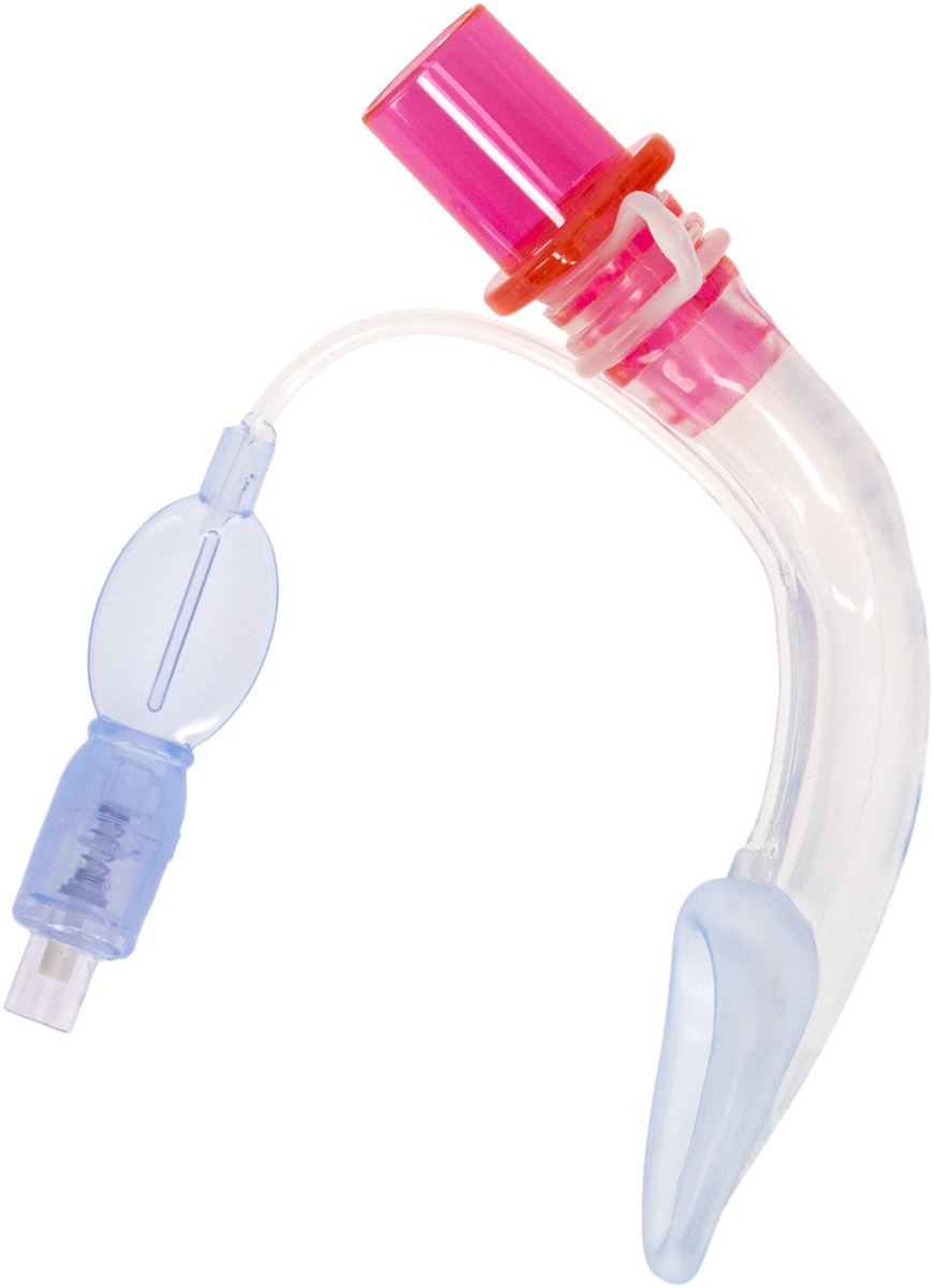 A clear curved medical airway device with a pink connector and blue inflation valve.