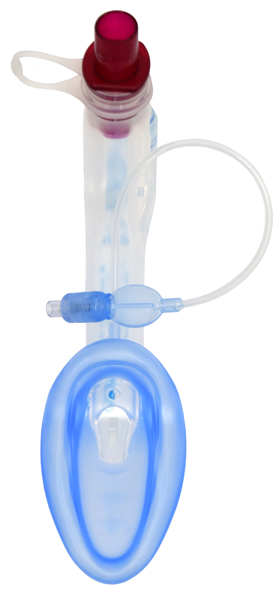A blue and clear medical laryngeal mask airway device with an attached inflation tube and red connector.