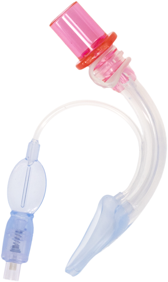 Curved medical airway tube with pink and blue connectors, used for securing patient airways during procedures.