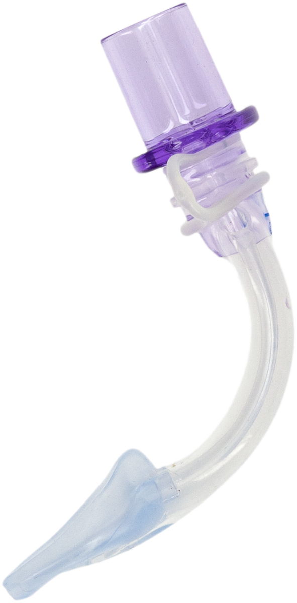 Curved medical tracheostomy tube with a purple connector and transparent body, used for airway management.