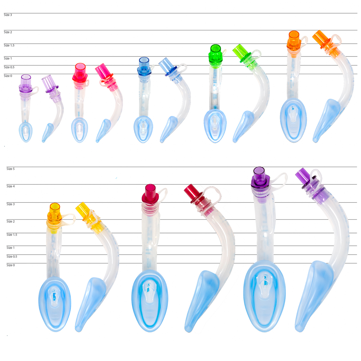 Various sizes of laryngeal mask airways with colored connectors arranged by size on a white background.