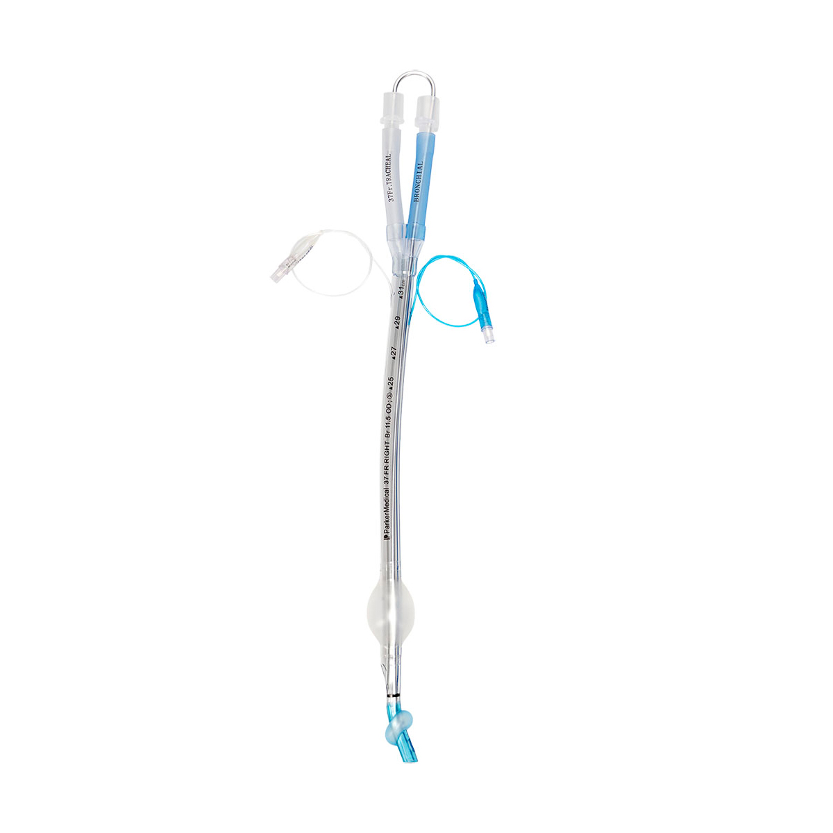 A clear medical endotracheal tube with blue connectors and an inflatable cuff, used for airway management.
